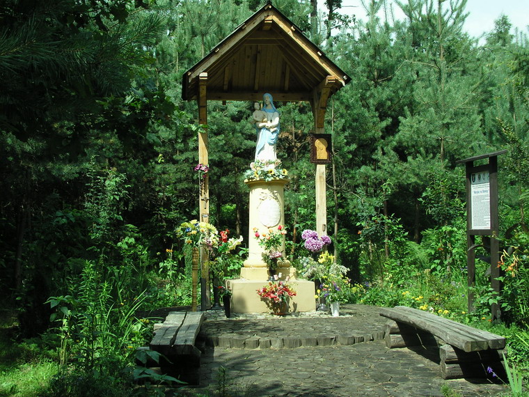 Kapliczka_Maryjka_w_lesie_na_Branicy.jpg (238.95 Kb)