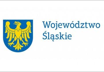 Modernizacja placu zabaw w Mizerowie